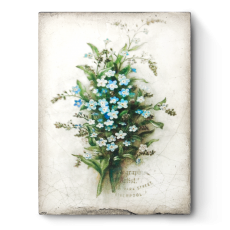 C-T444-Forget-Me-Not