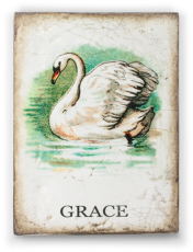 R-SB01-Graceful-Swan